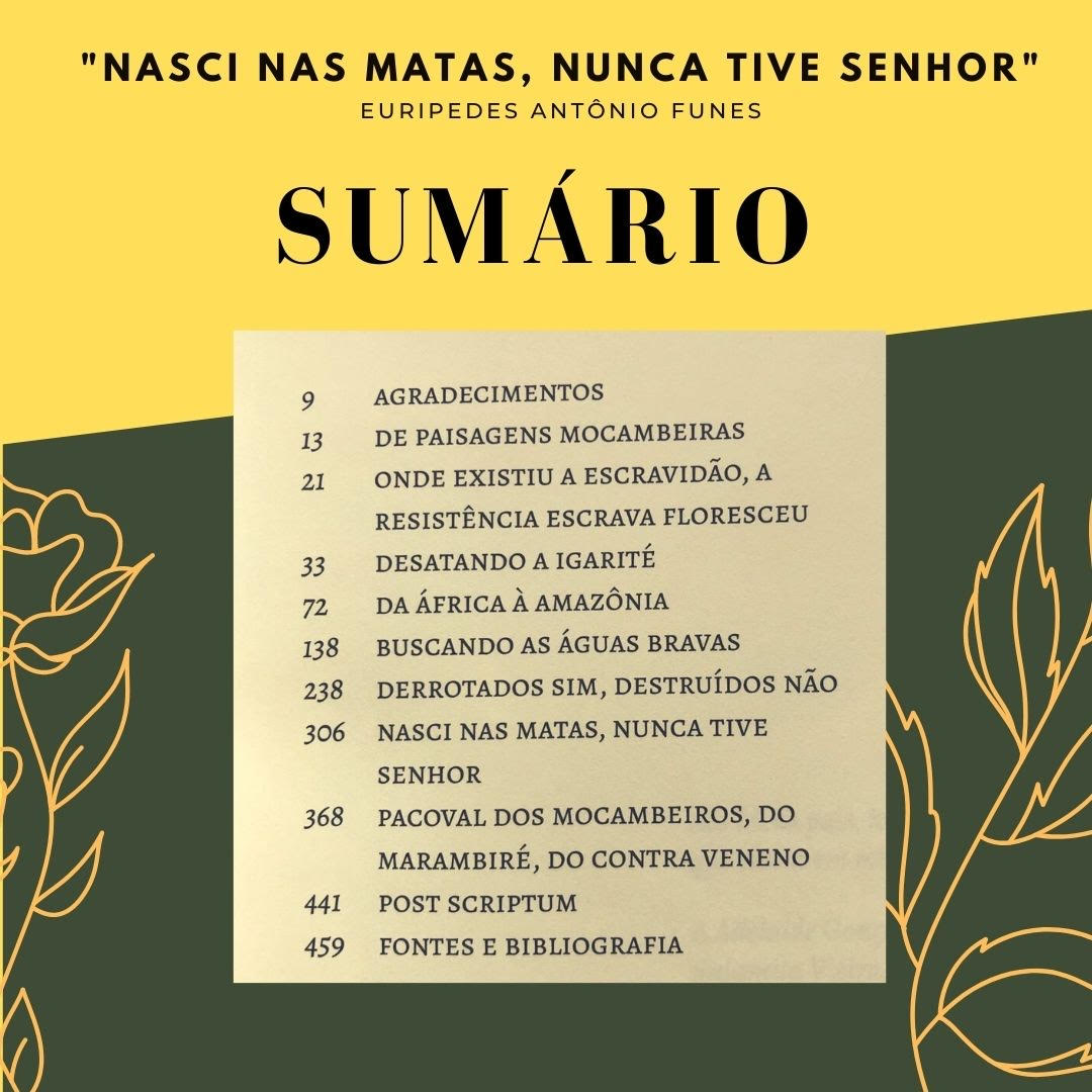 sumário - funes